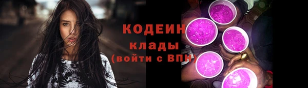 СК Вязьма