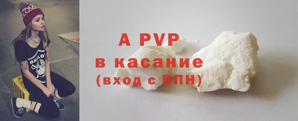 СК Вязьма