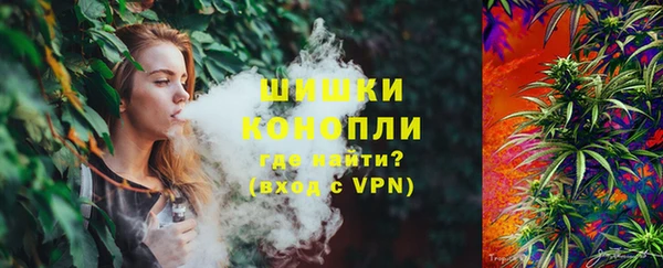 стаф Горнозаводск