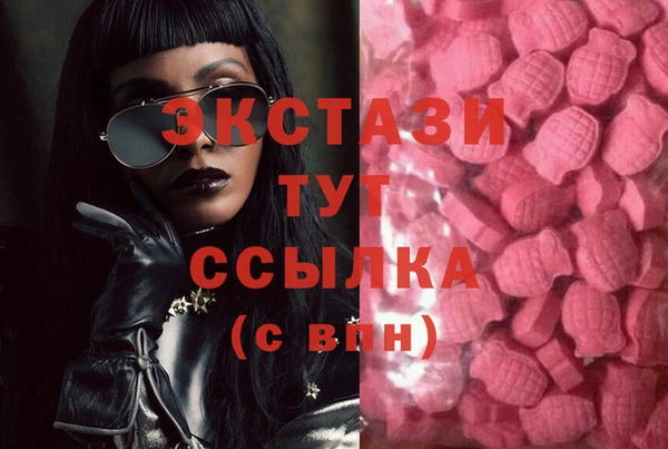 СК Вязьма