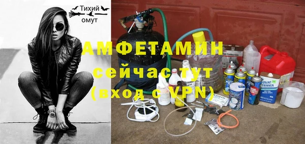 ГАЛЛЮЦИНОГЕННЫЕ ГРИБЫ Горно-Алтайск