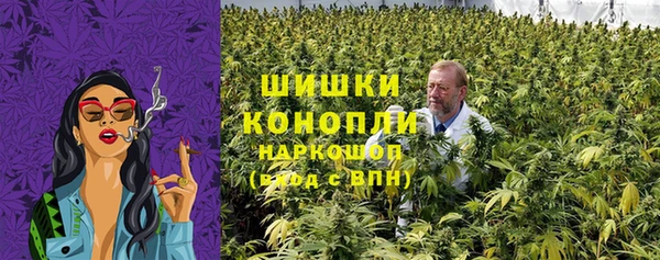 молекула духа Вязники