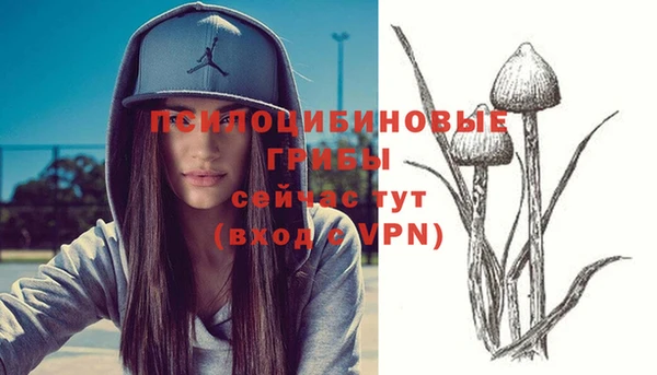 ГАЛЛЮЦИНОГЕННЫЕ ГРИБЫ Горно-Алтайск