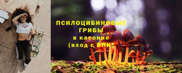 СК Вязьма