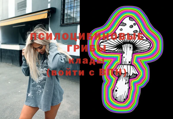 ГАЛЛЮЦИНОГЕННЫЕ ГРИБЫ Горно-Алтайск